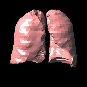 lung3D